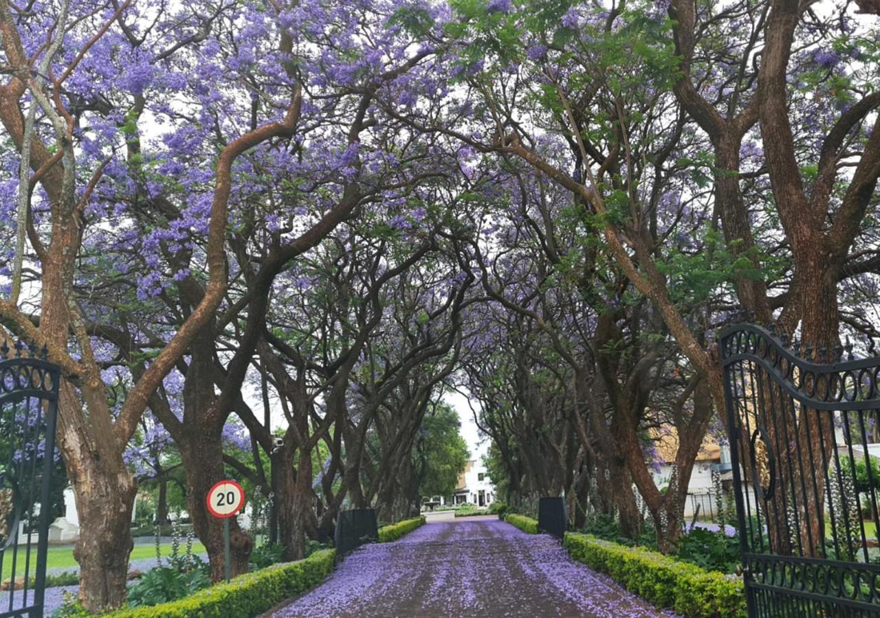Kievits Kroon Gauteng Wine Estate Pretoria-Noord Exteriör bild
